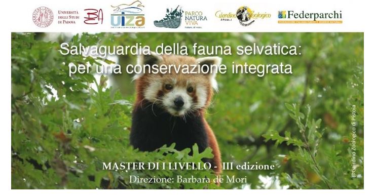 2021MasterFaunaPD