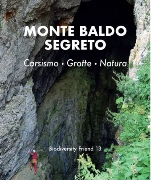2023MonteBaldoLibro