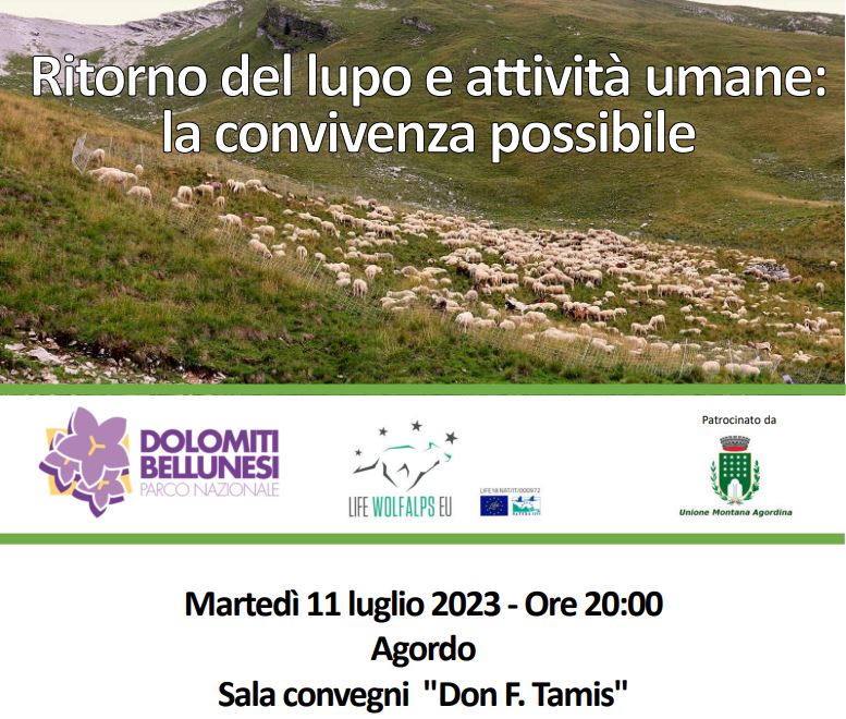 2023PNDB Lupo