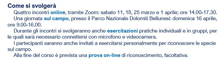 2023Ropaloceri2