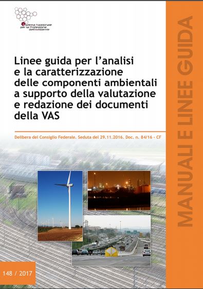 LineeGuidaVAS