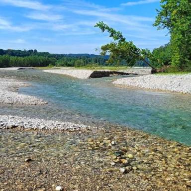 UNESCO: Confronto tra i fiumi Brenta, Piave e Tagliamento, per analizzare le principali criticità ambientali, sociali e gestionali legate alla regolazione dei deflussi. Possibilità di scaricare le registrazioni 