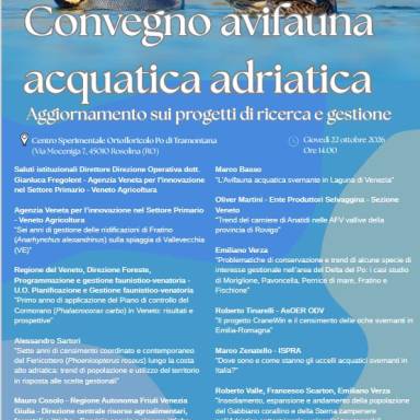 Sagittaria: Convegno di aggiornamento dei progetti di ricerca e gestione dell'avifauna acquatica dell'Adriatico